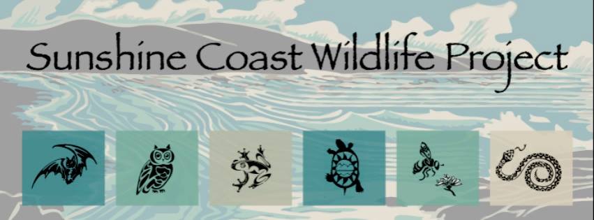 Sunshine Coast Wildlife Project Workshop – March 26th